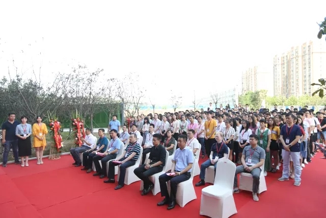 拓普1.webp.jpg