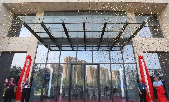 拓普2.webp.jpg