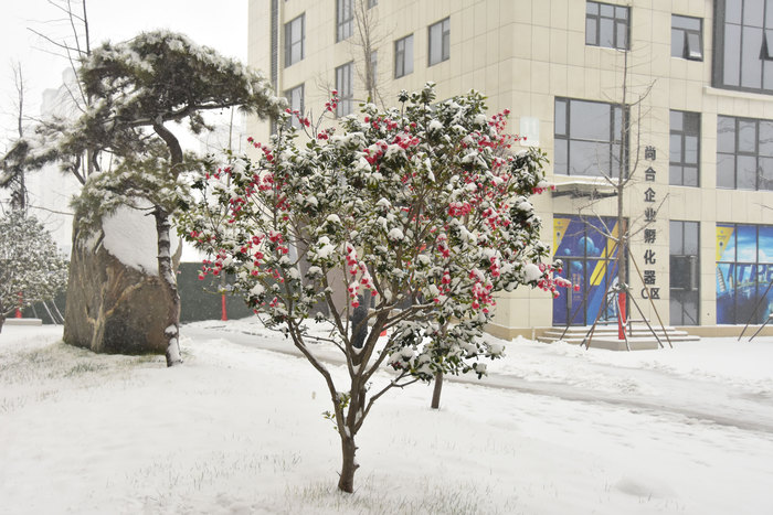 _DSC7133缩小.jpg